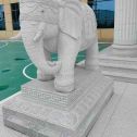 肇庆 白麻花岗岩动物异形石雕-大象
