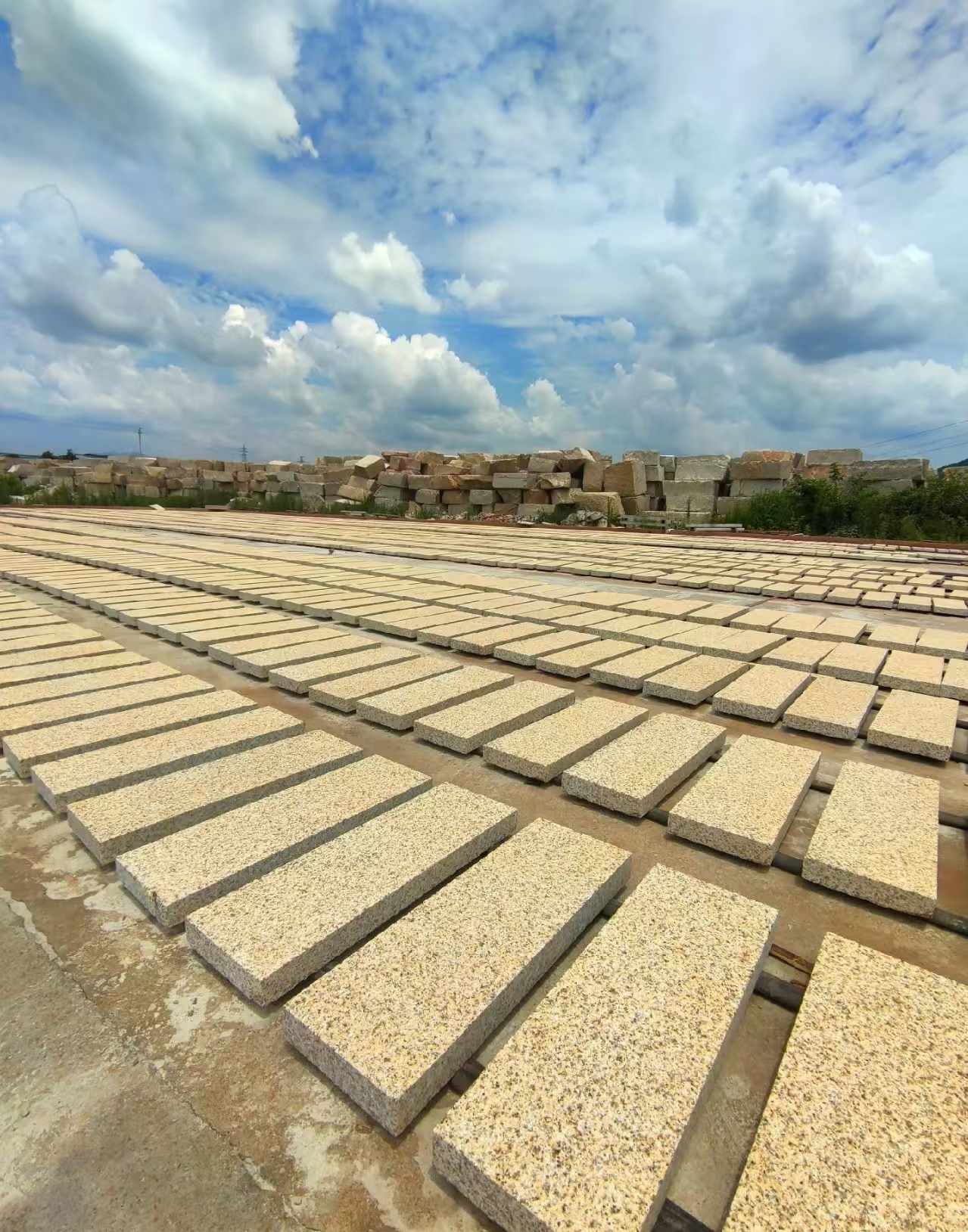 肇庆 黄金麻荔枝面花岗岩石材地铺石防护中