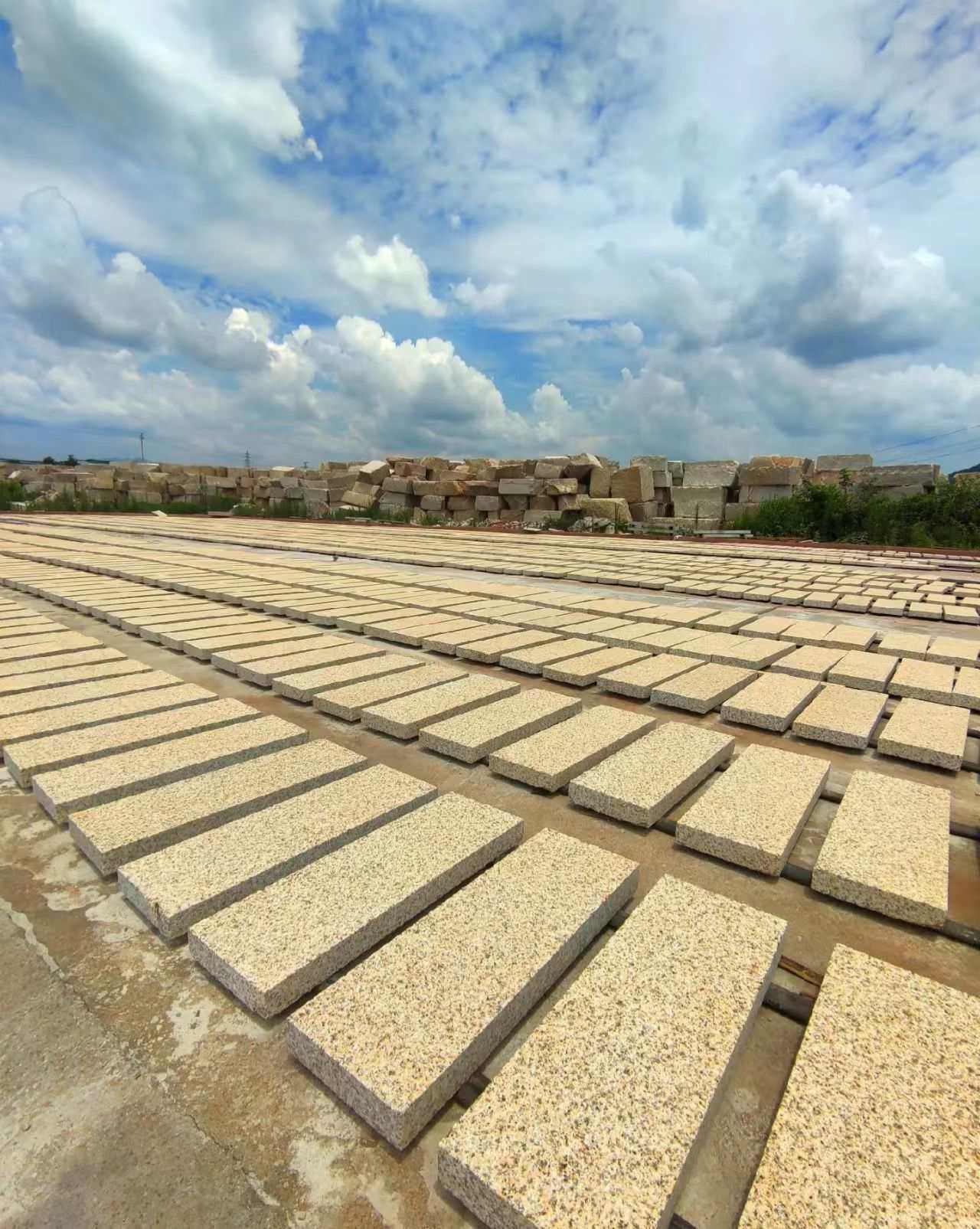 肇庆 黄金麻花岗岩荔枝面地铺石防护中