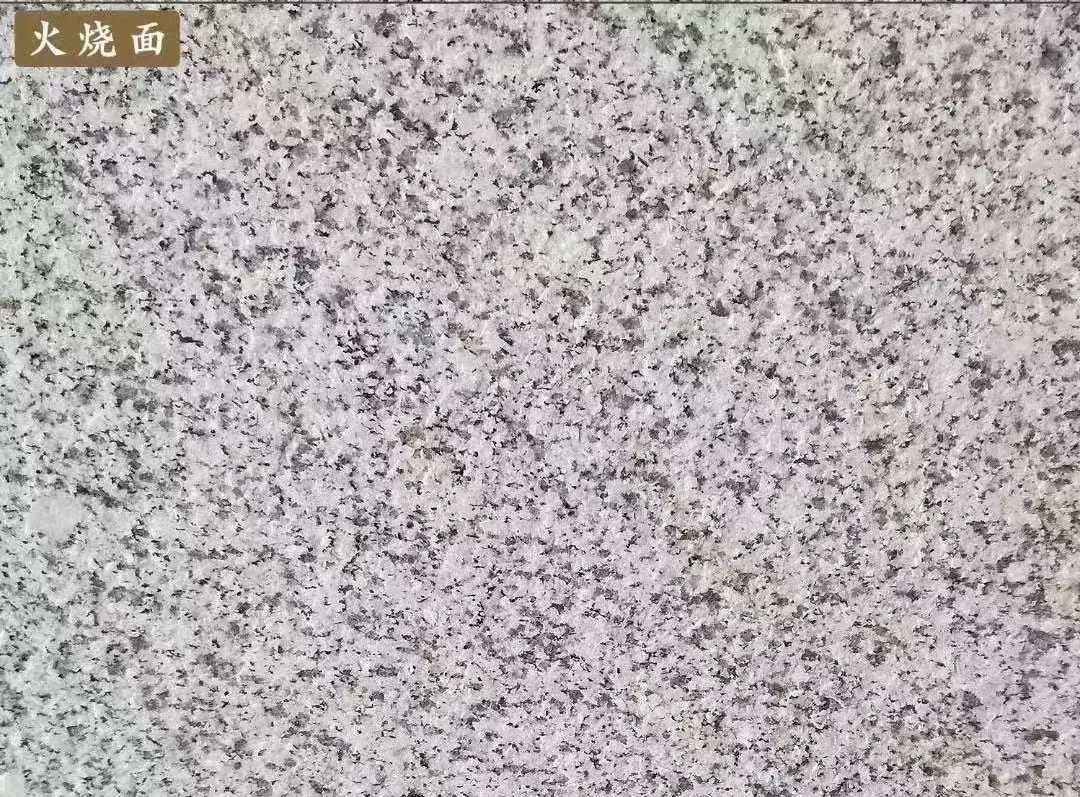 肇庆白麻火烧面