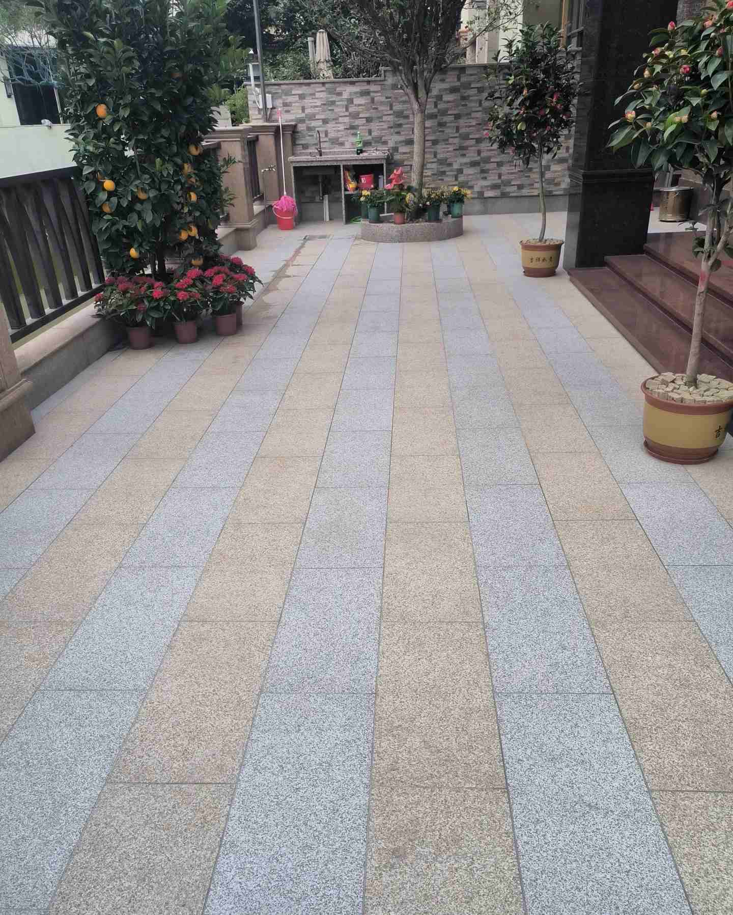 肇庆 黄金麻白麻荔枝面庭院铺装展示